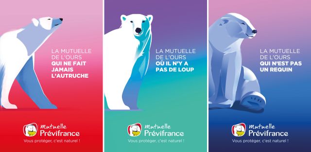 Campagne ours Mutuelle Prévifrance